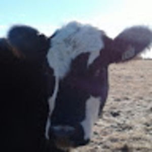 Meet your Posher, Clair